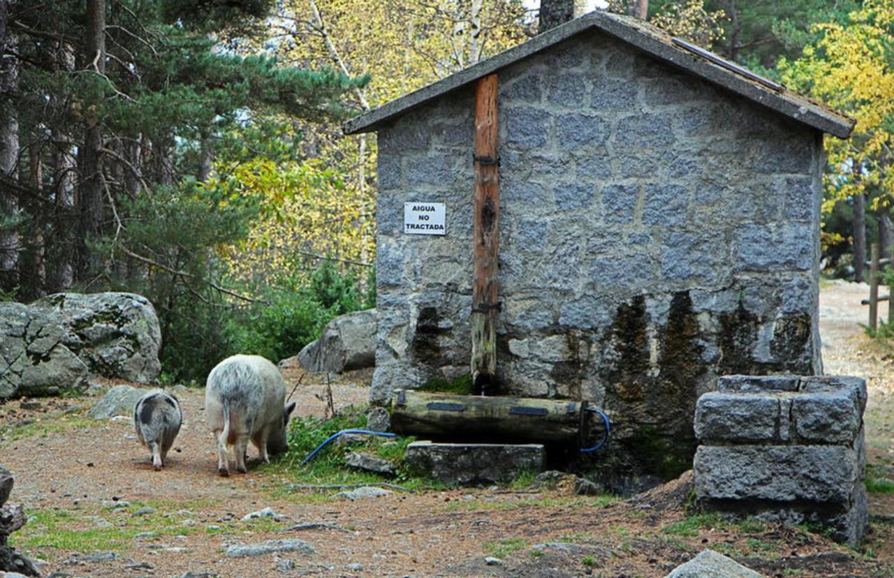 Hotel Camp del Serrat photo