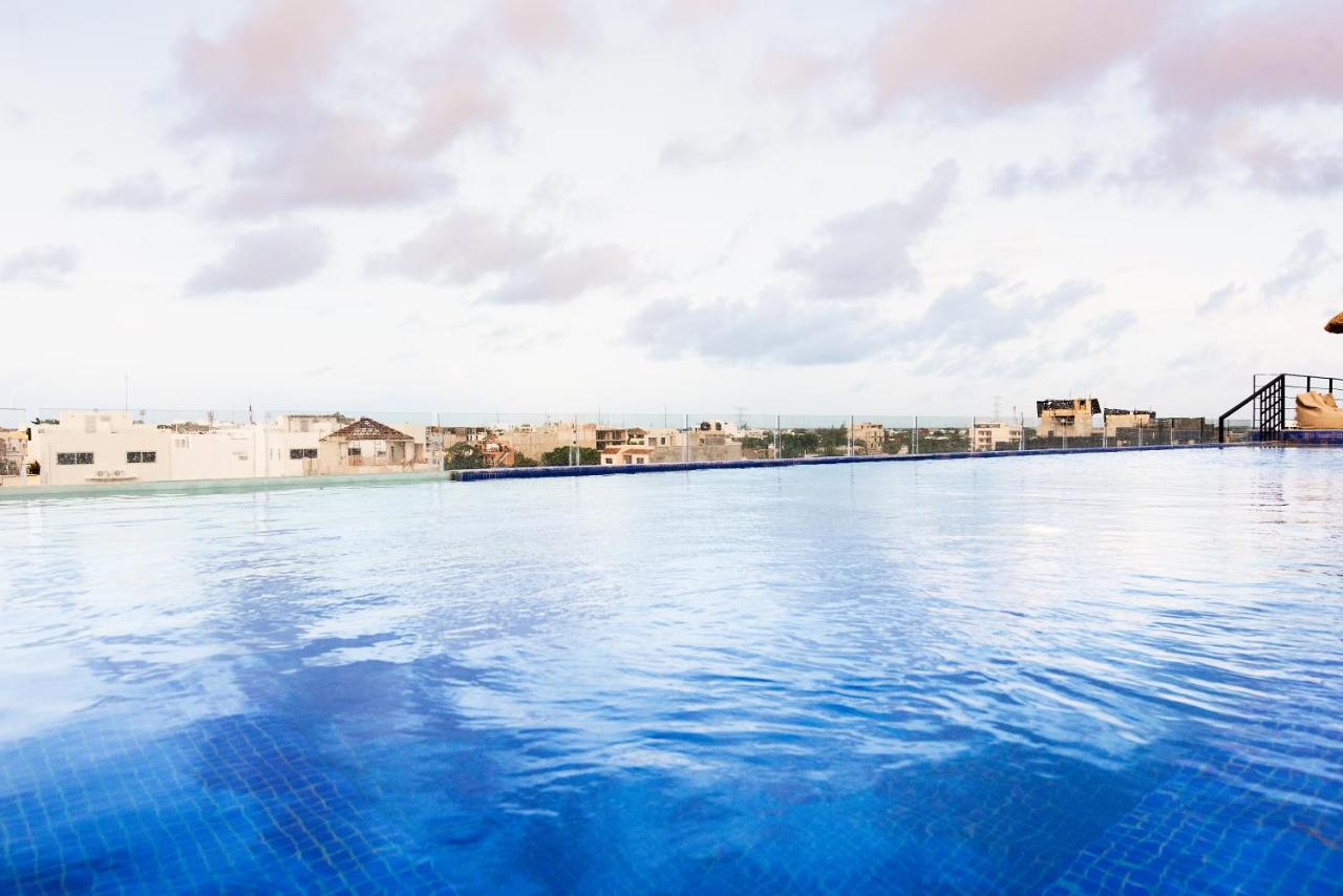 Rooftop swimming pool: Hotel 52 Playa del Carmen