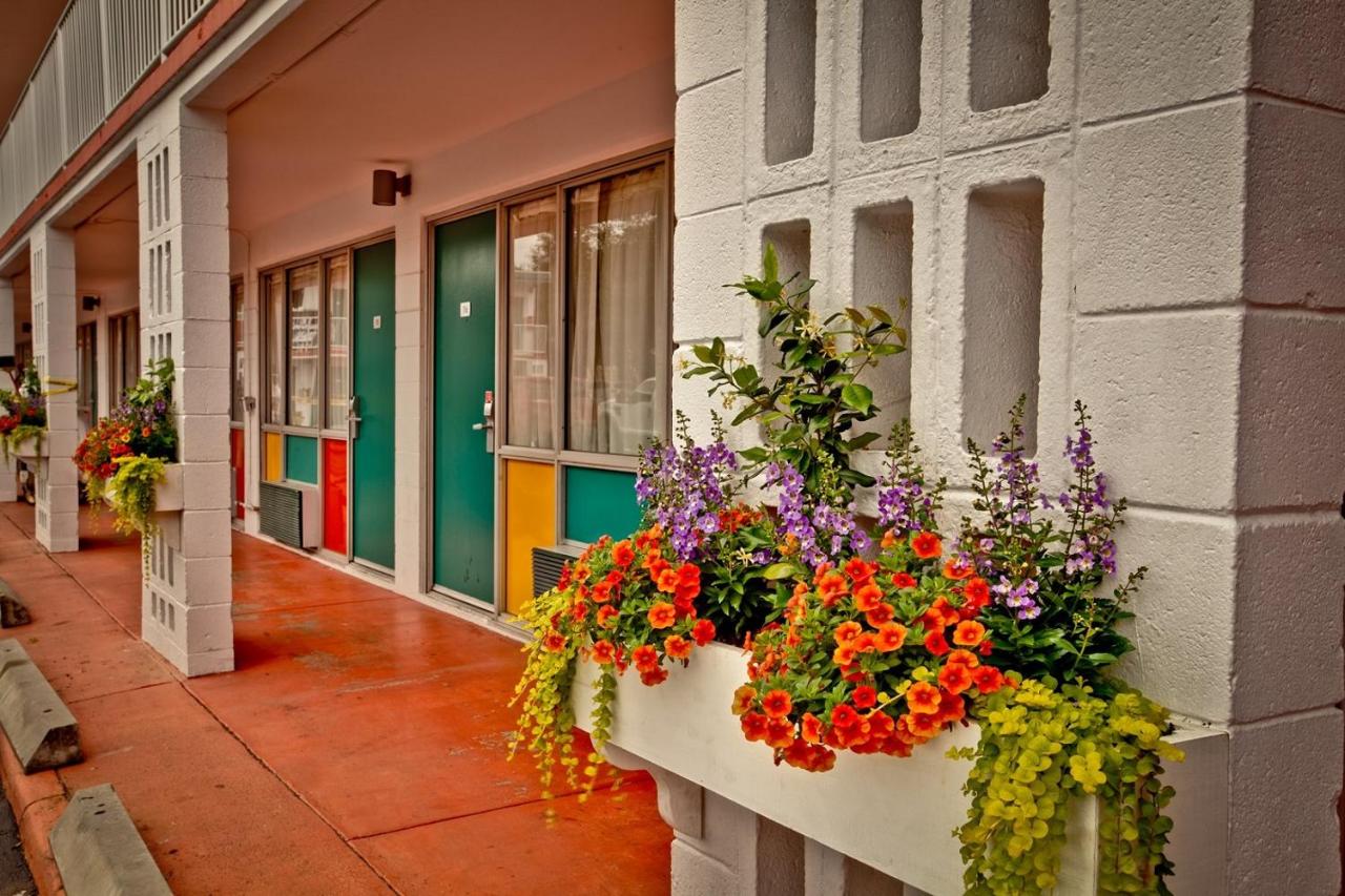 Thunderbird Inn — photo 8