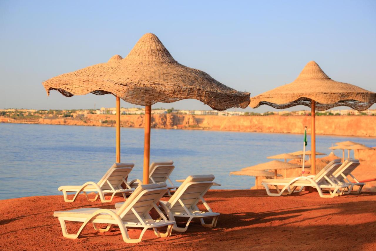 Sharm Club Beach Resort photo