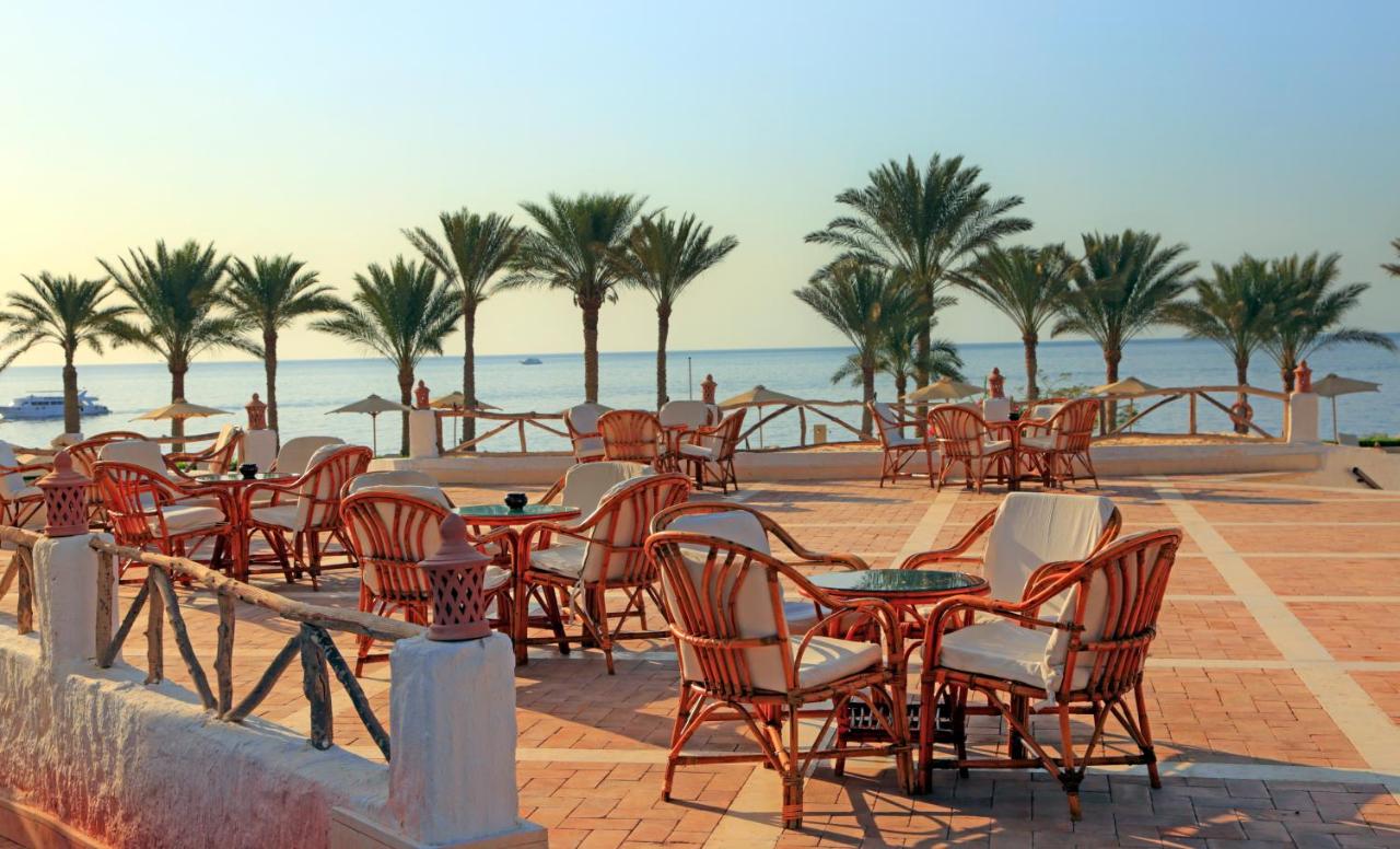 Sharm Club Beach Resort photo