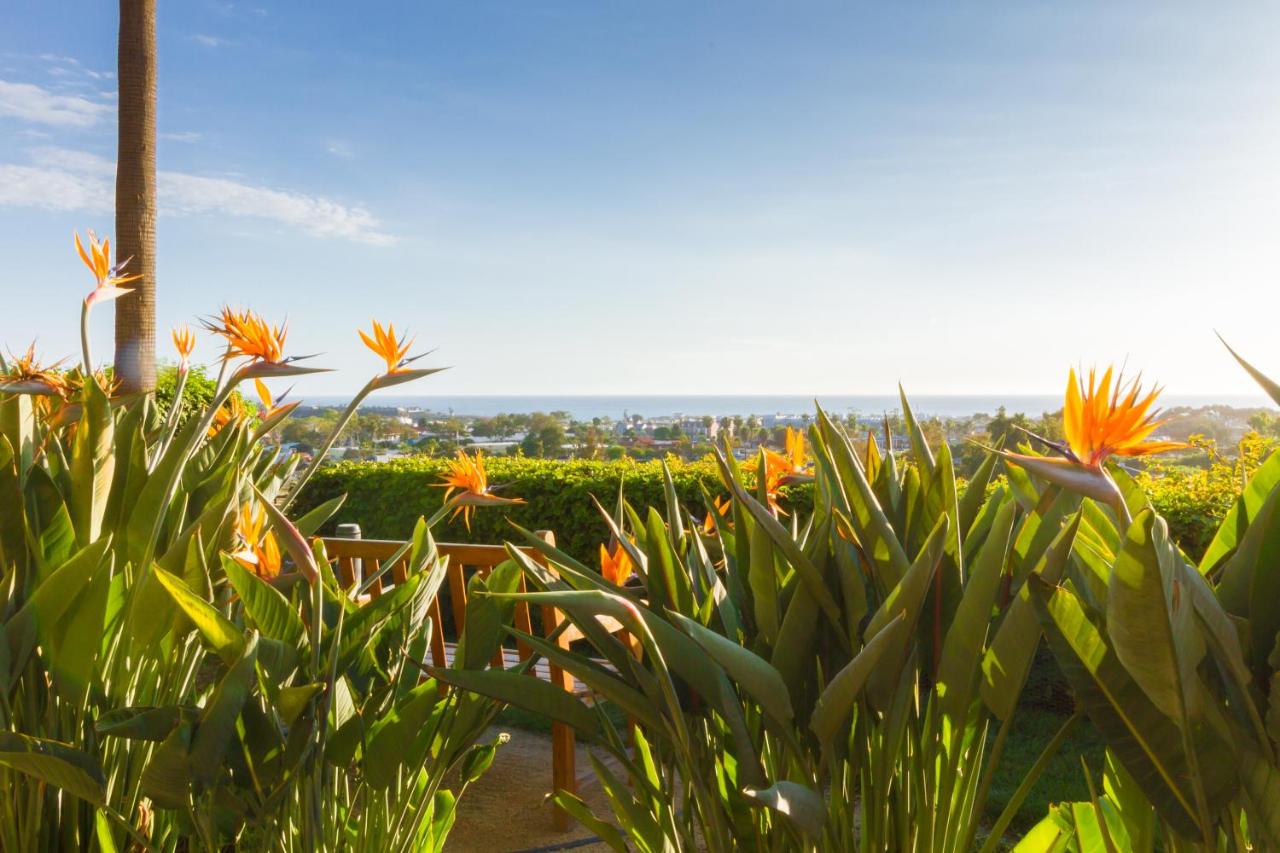 Grand Pacific Palisades Resort — photo 24
