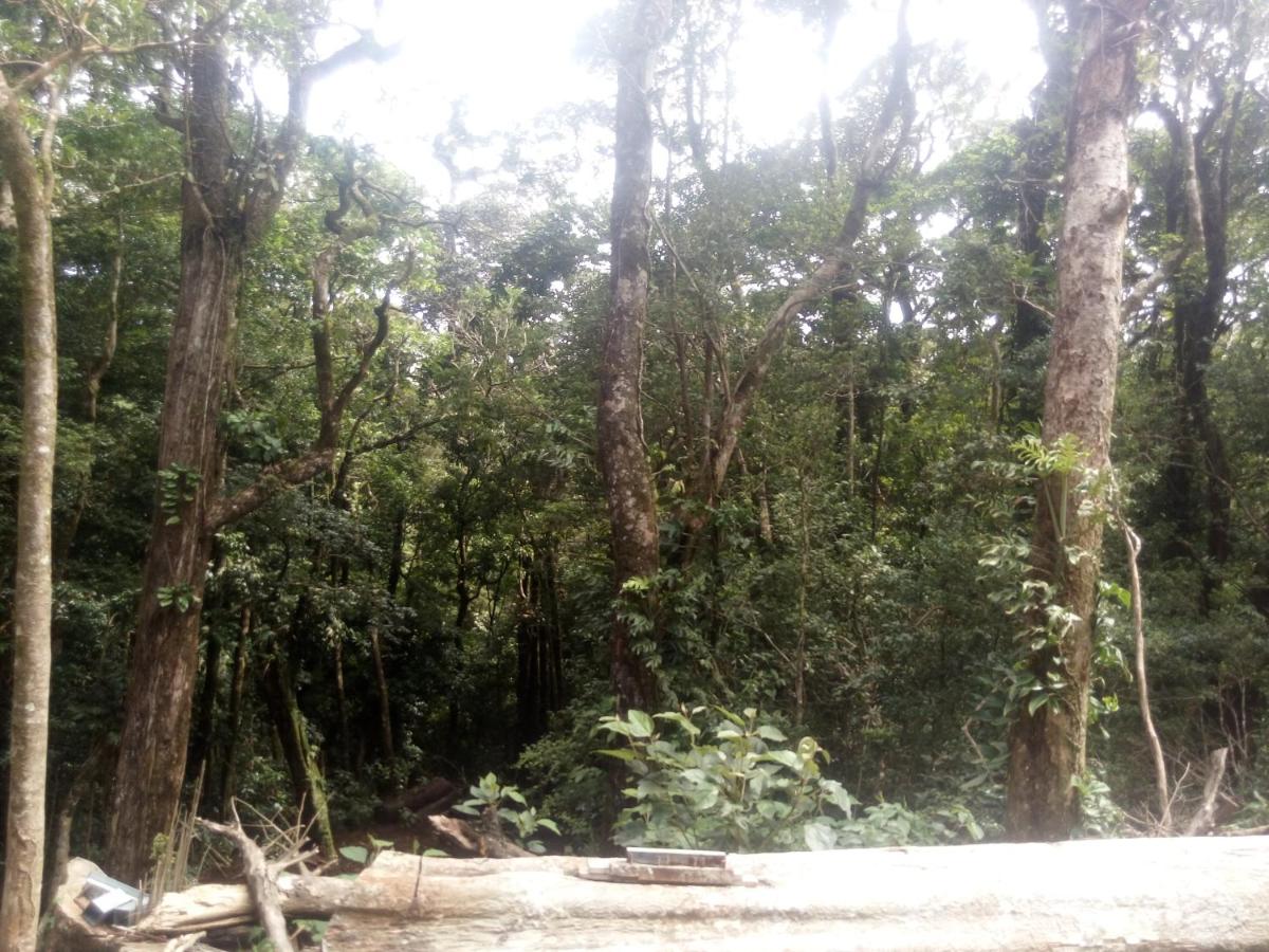 Monteverde Romantic Cottage photo
