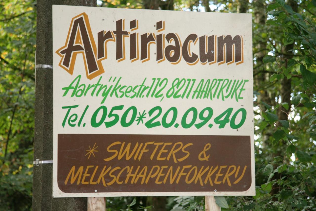 B&B Artiriacumhoeve photo