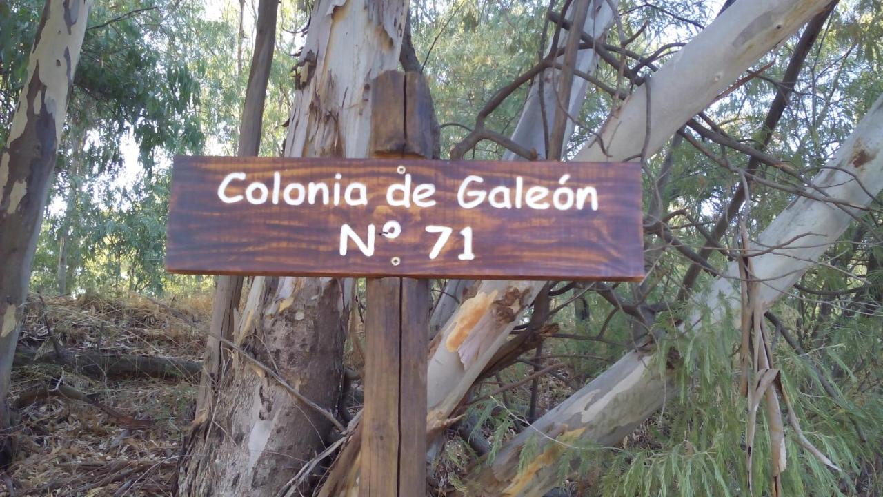 Colonia de Galeón nº 71, Cazalla de la Sierra – Updated 2022 ...
