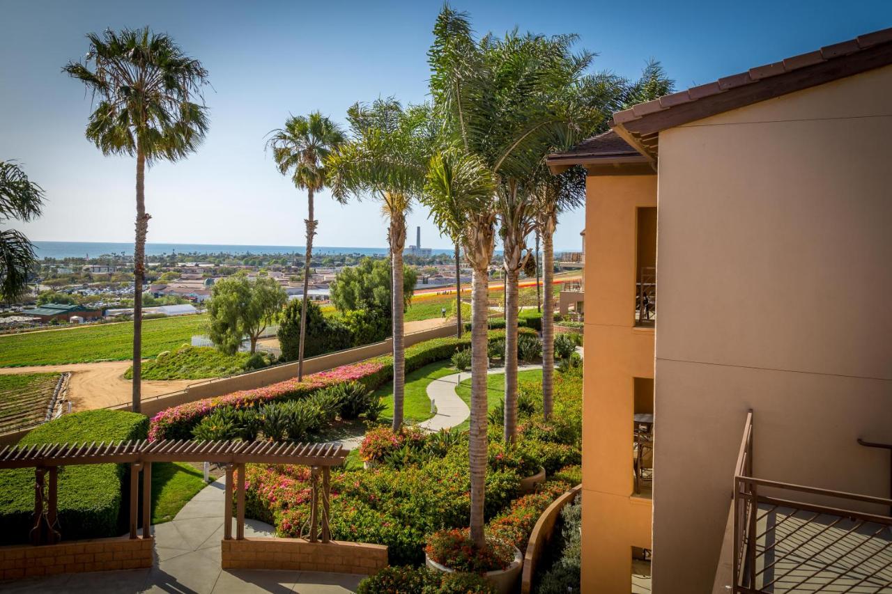 Grand Pacific Palisades Resort — photo 12
