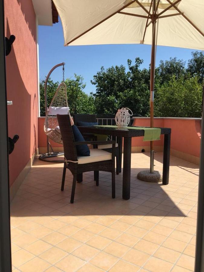 B&B Mediterraneo photo