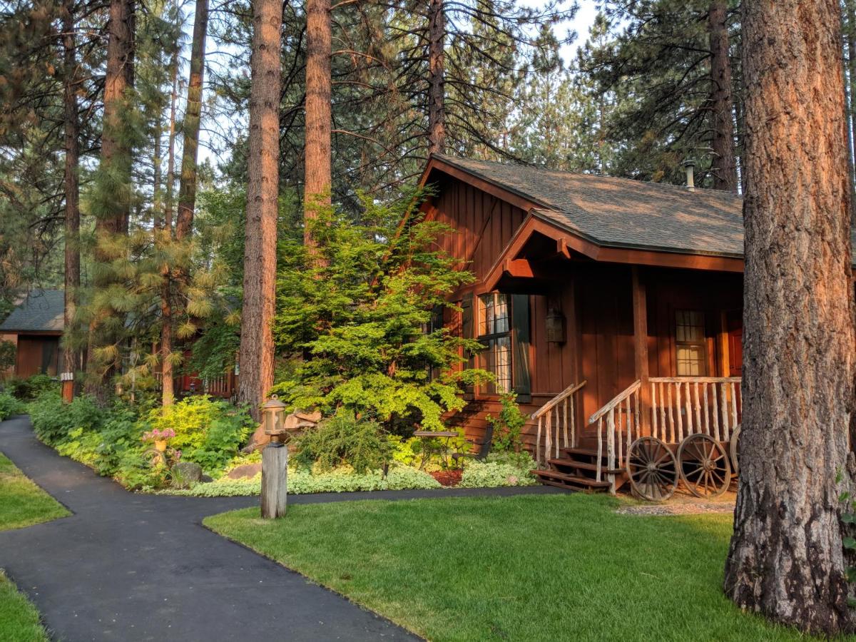 Black Bear Lodge — photo 20