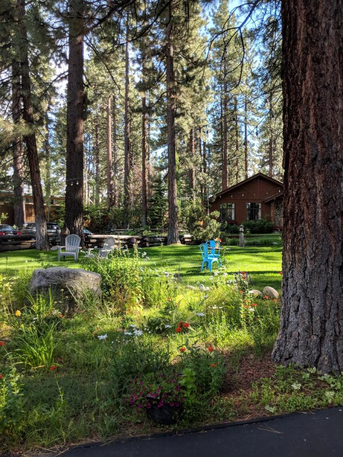 Black Bear Lodge — photo 21