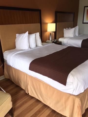 Royal Inn — photo 20