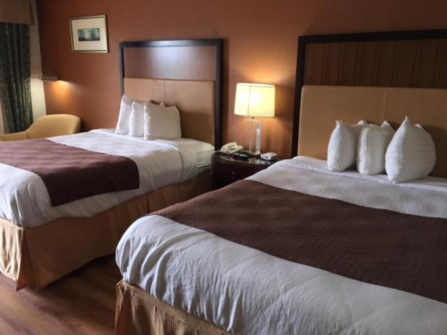 Royal Inn — photo 18