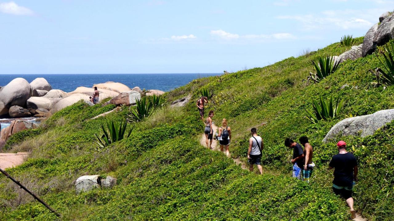 The Search House photo