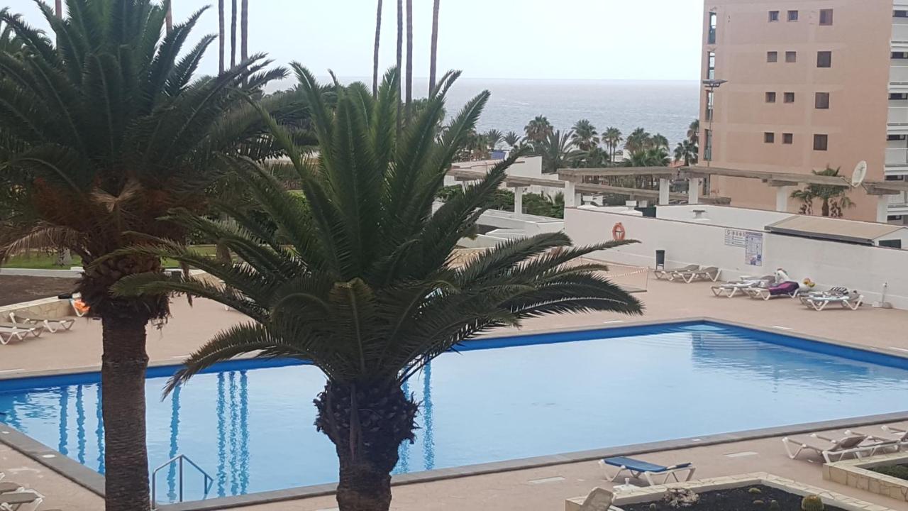 Apartment Viña del Mar, Playa de las Americas, Spain ...