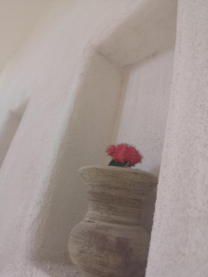 B&b Villa Rosalia photo