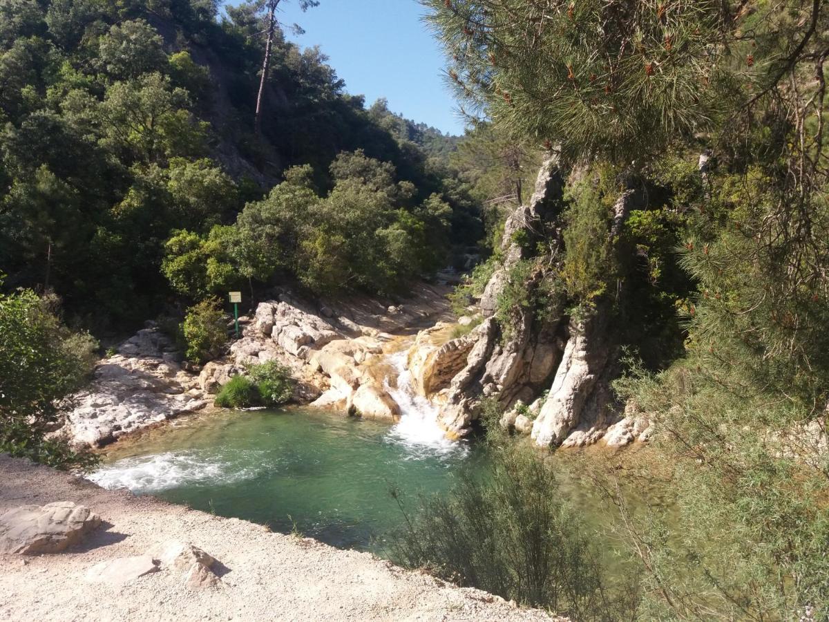 Alojamiento aguasblanquillas, Coto Ríos – Updated 2022 Prices