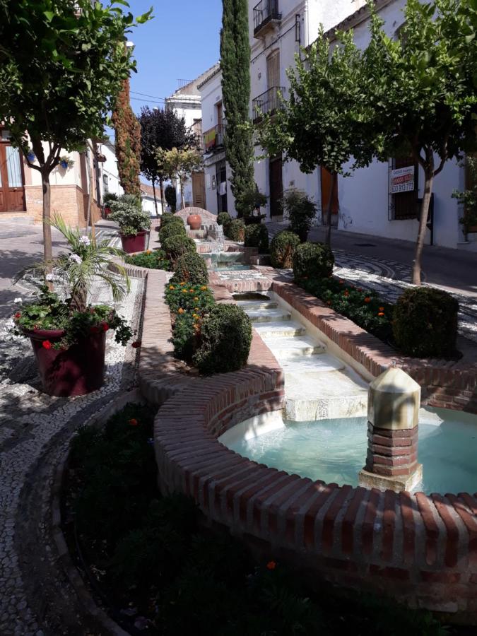 Ama, Estepona – Bijgewerkte prijzen 2022
