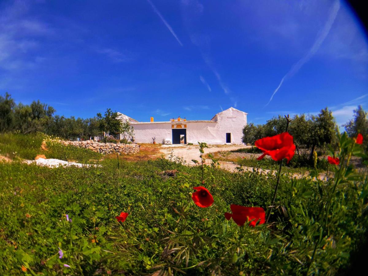 Lodge Cortijo Mezquetillas (Spanje Morón de la Frontera ...