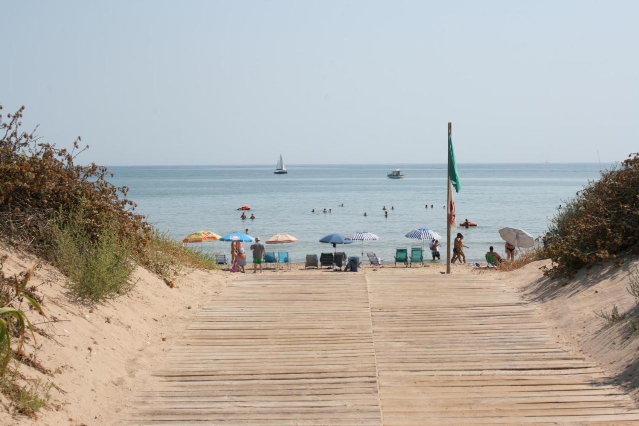 OLIVA HOLIDAYS 1, Oliva – Bijgewerkte prijzen 2022