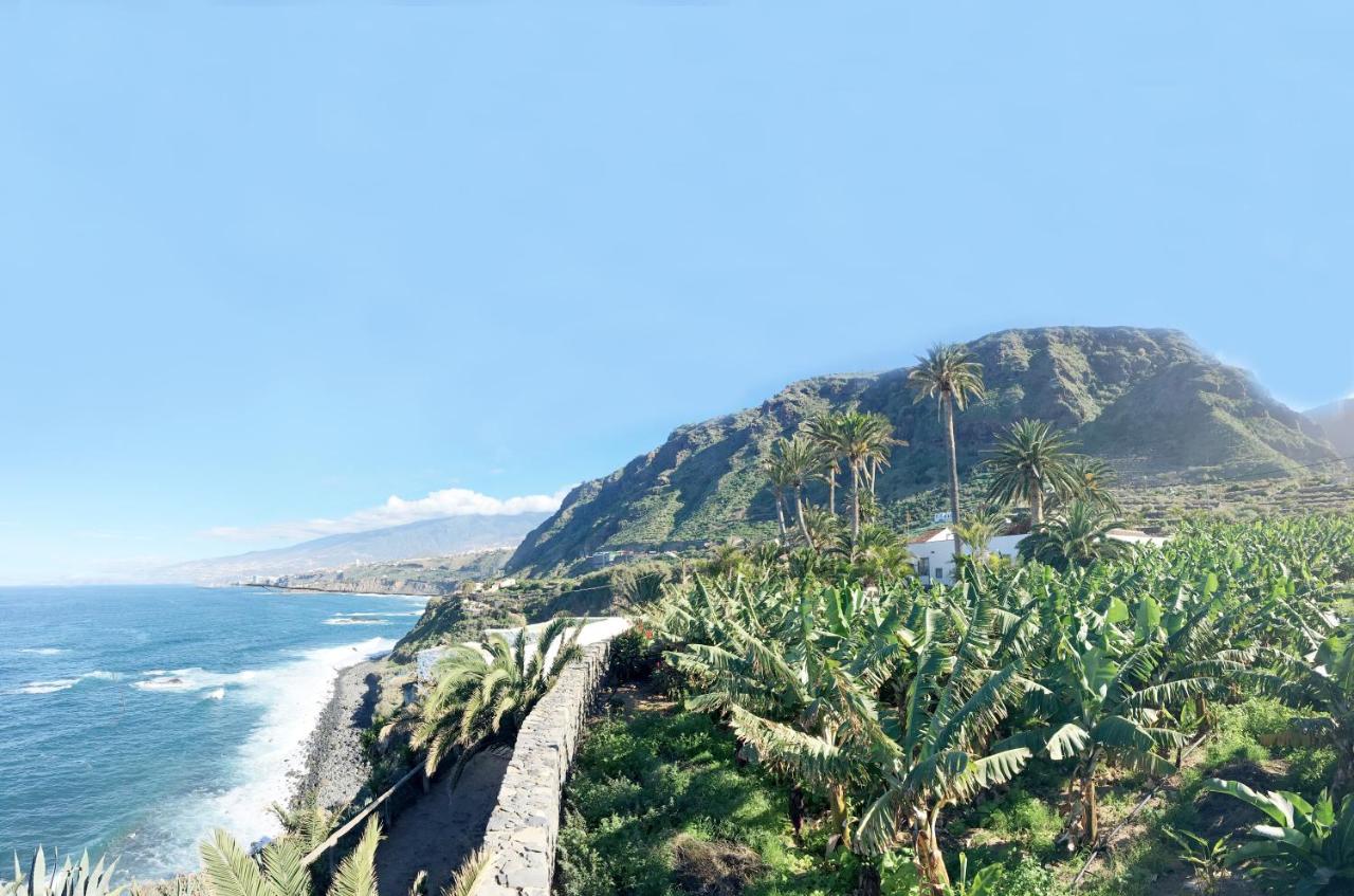Hacienda El Cardon, San Juan de la Rambla – Bijgewerkte ...