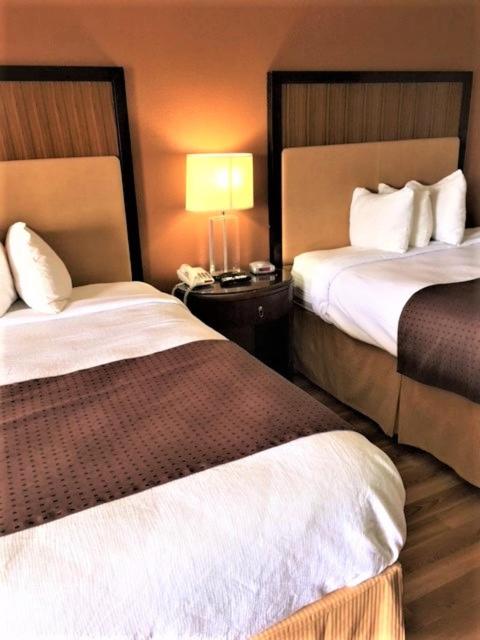 Royal Inn — photo 11