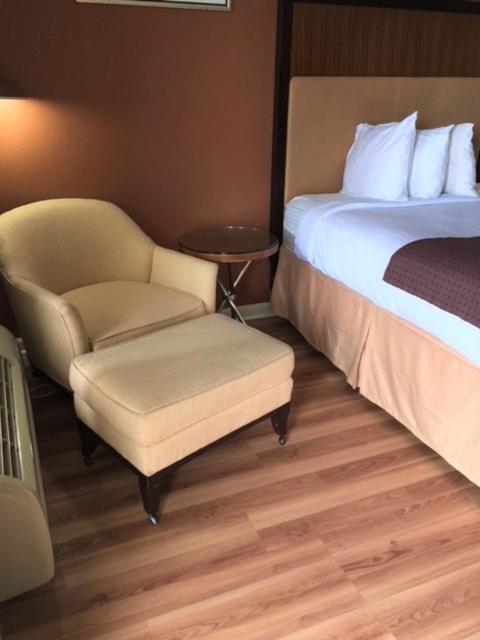 Royal Inn — photo 12