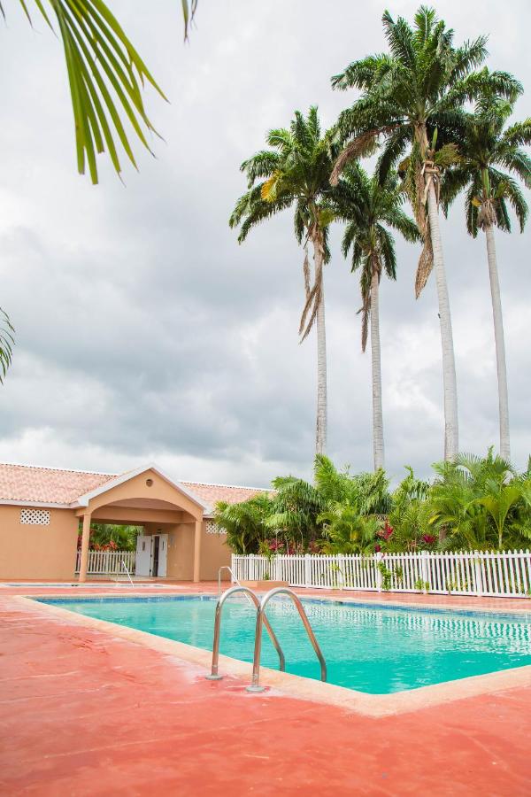 The Gulf Retreat Oasis - 4