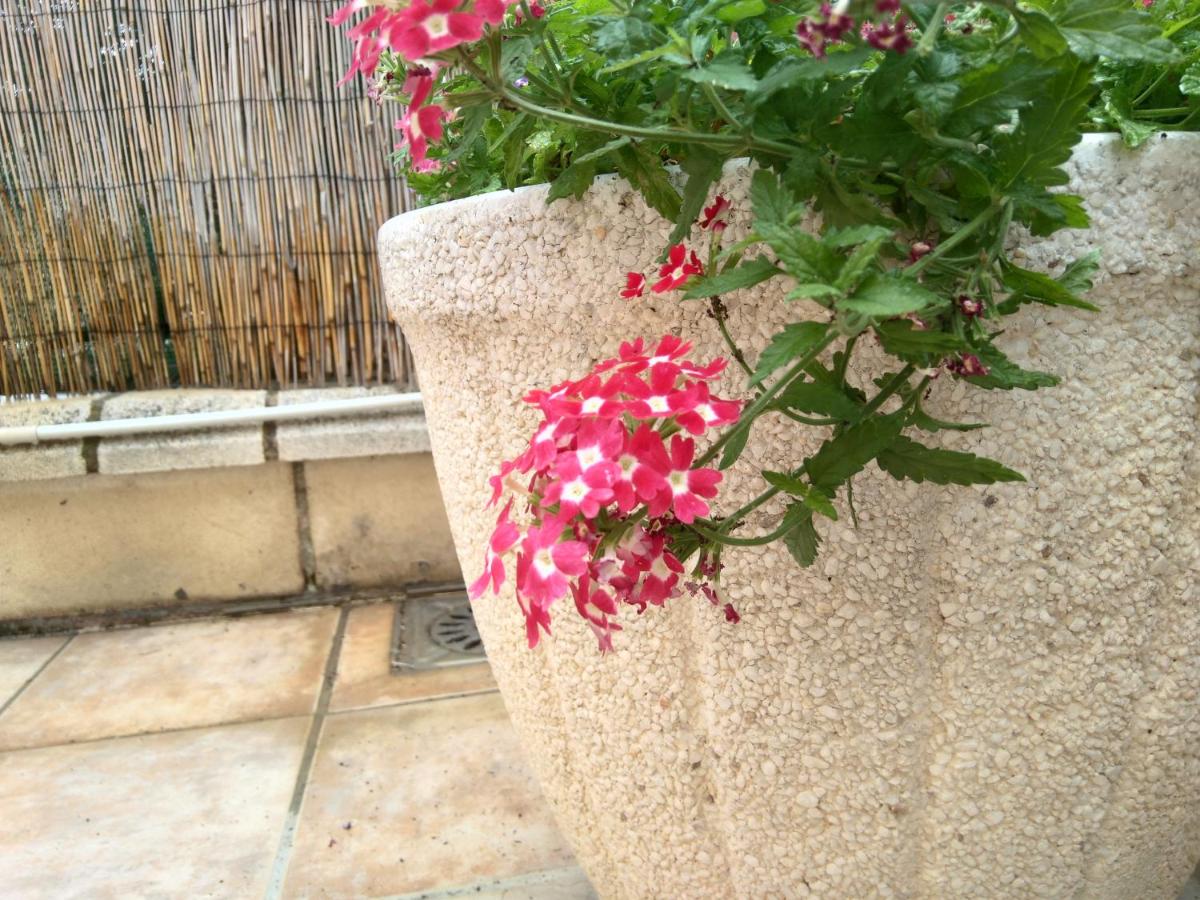 La casa de Marta, Murchante – Updated 2022 Prices