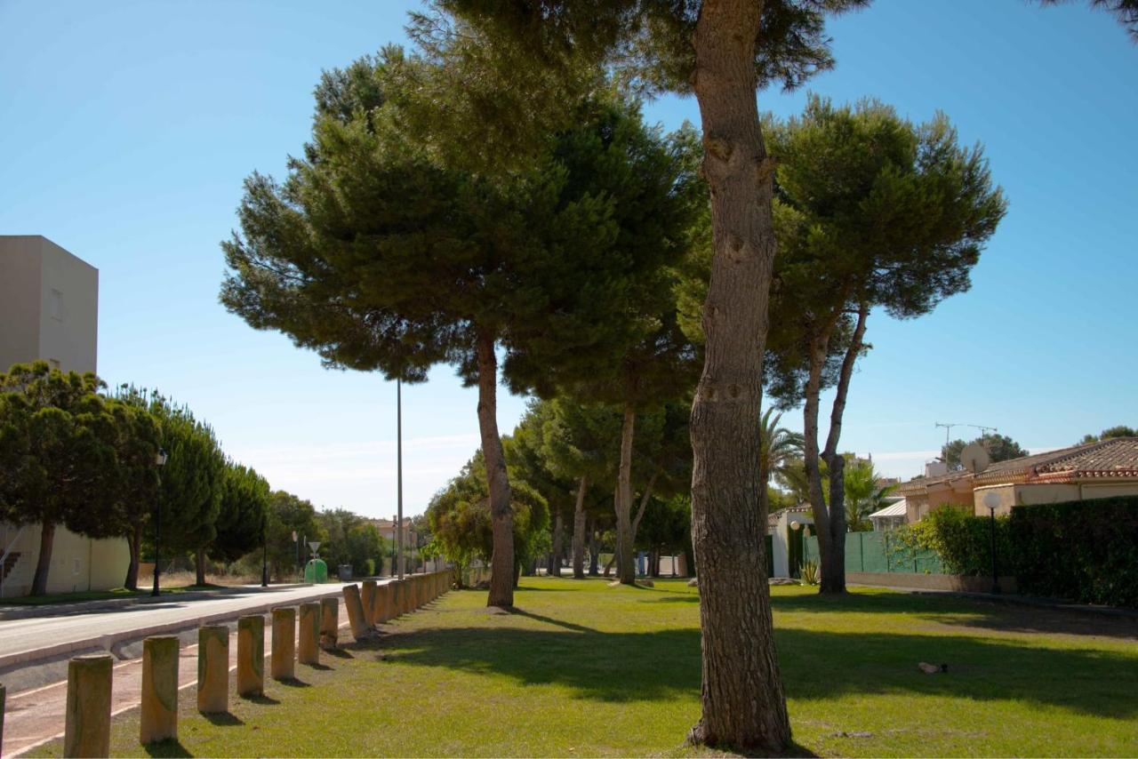 Casa con terraza, Campoamor – Updated 2022 Prices