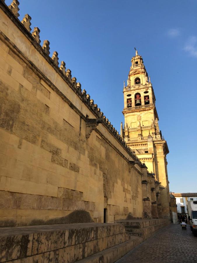 El 5 de la Hoguera, Córdoba – Updated 2022 Prices