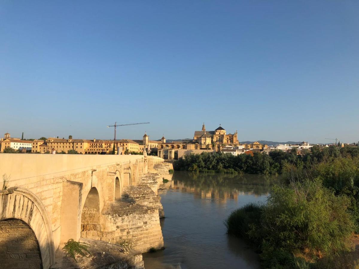 El 5 de la Hoguera, Córdoba – Updated 2022 Prices