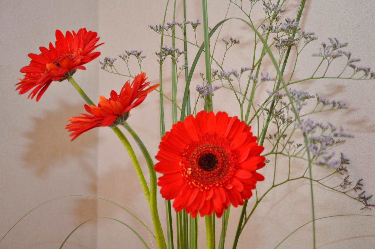 Petit Recoleta Suites - 2