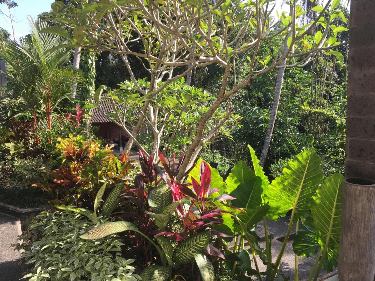 The Bali Shanti photo 13