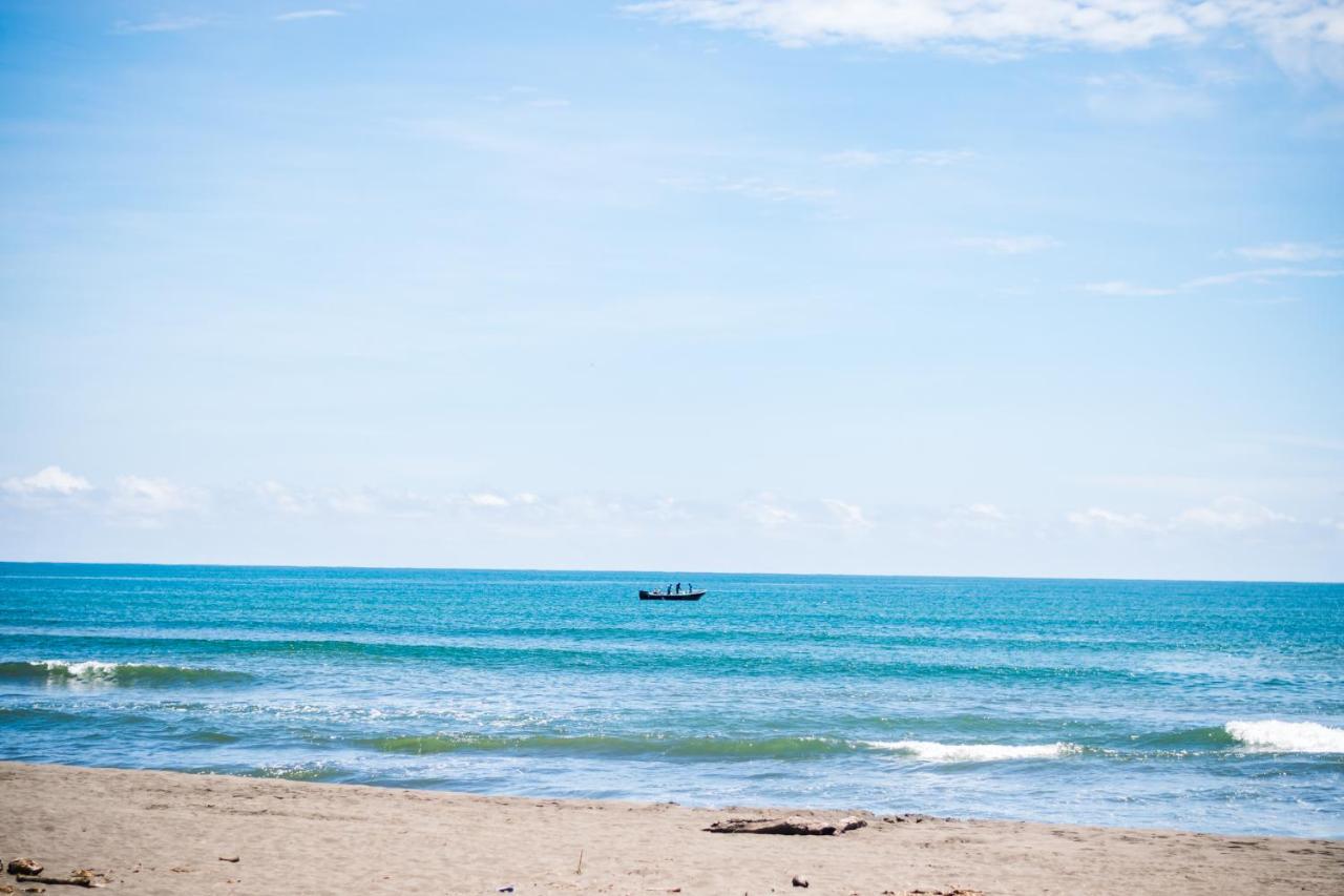 Beach: Hotel Tortuguero Beachfront