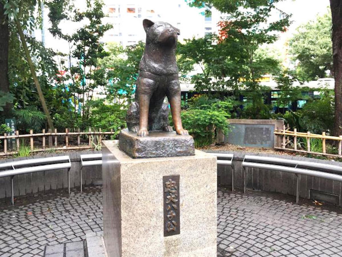 Shibuya Stay Tokyo A203 - 5