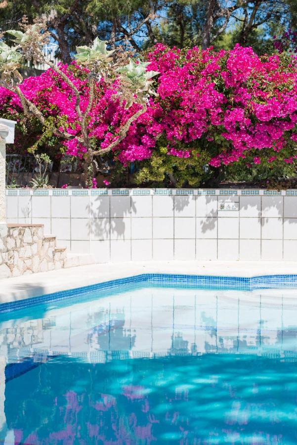 Vacation Home Coveta Fuma House Desinfeccion, El Campello ...