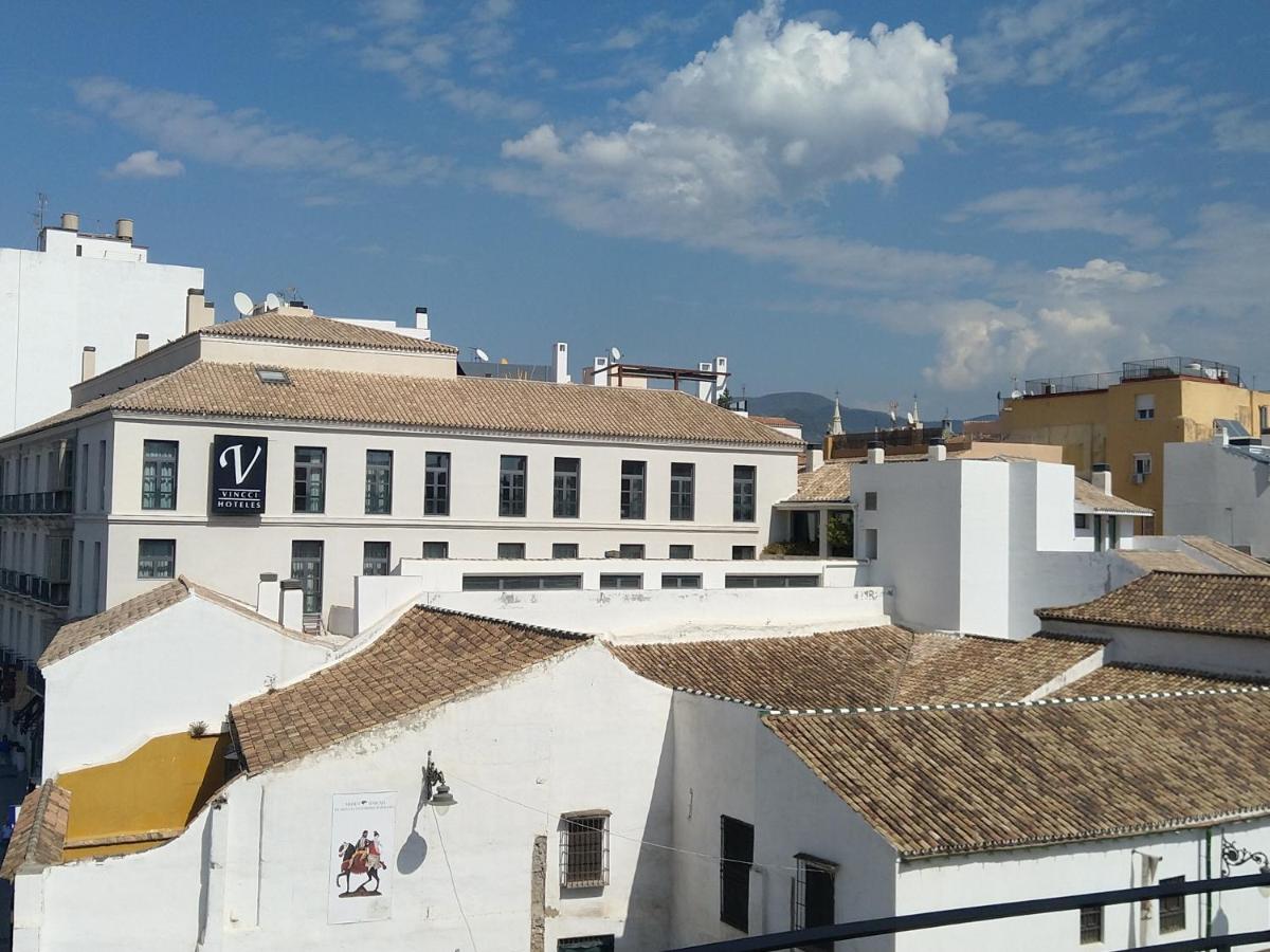 Bohemia en El Centro de Malaga - 3