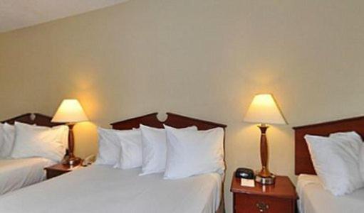 Gold Leaf Hotel of Dewey — photo 16