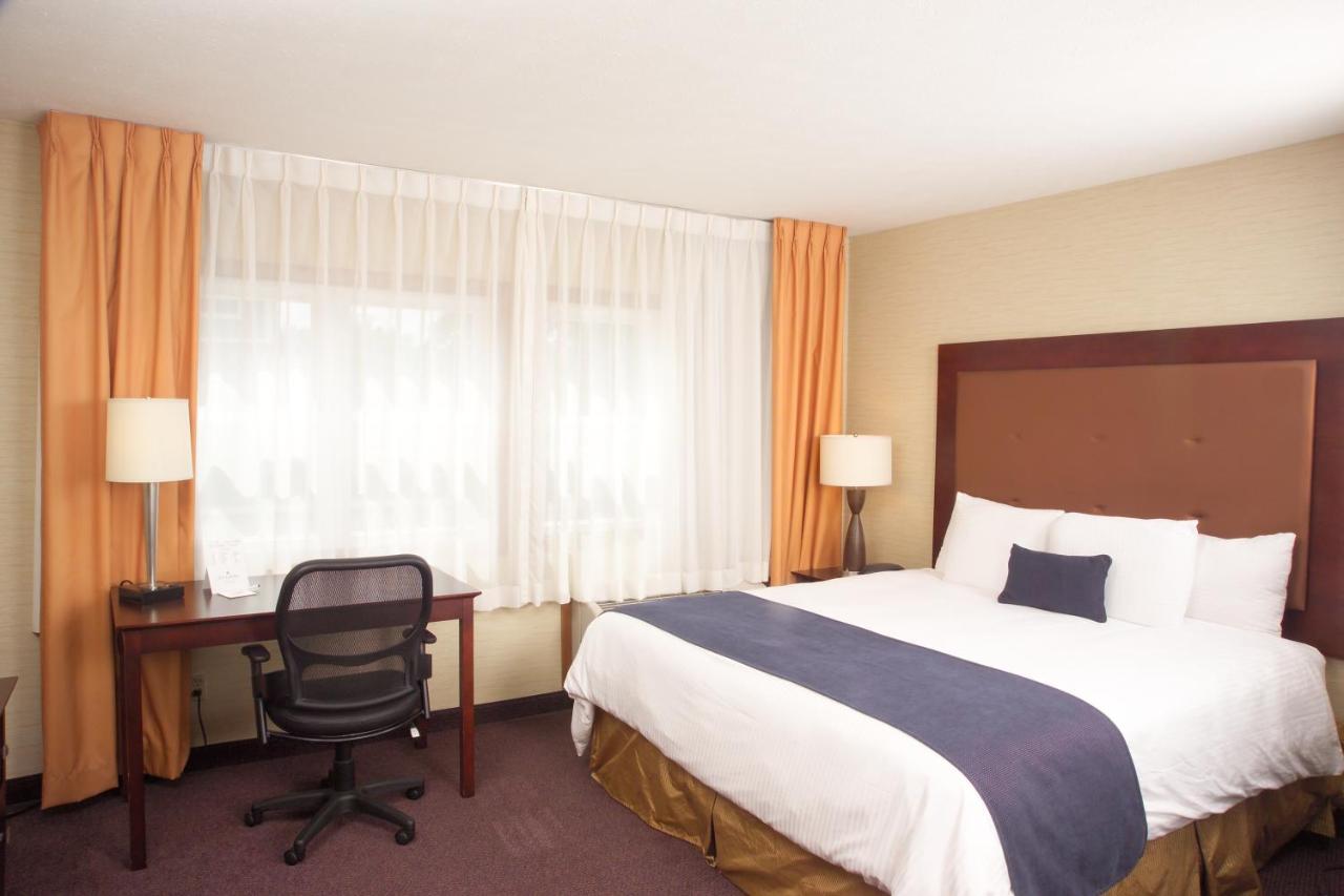 Ivy Court Inn and Suites — photo 17