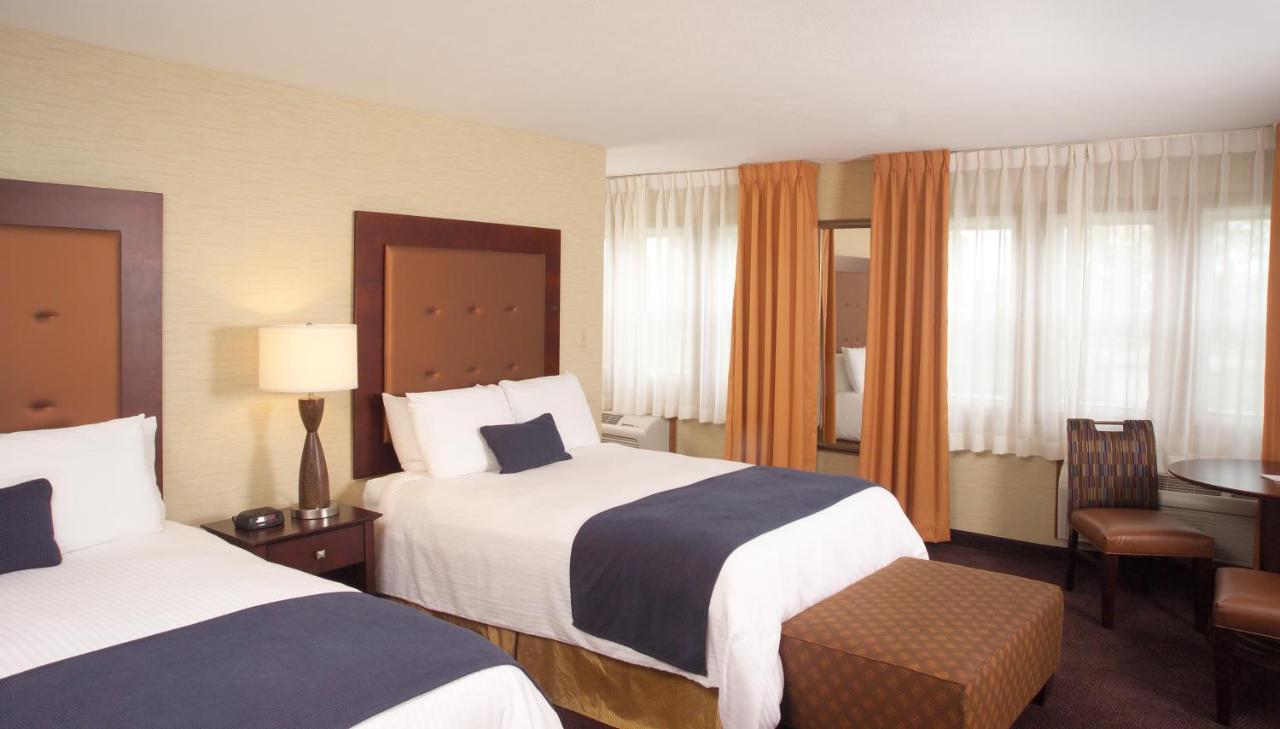 Ivy Court Inn and Suites — photo 15