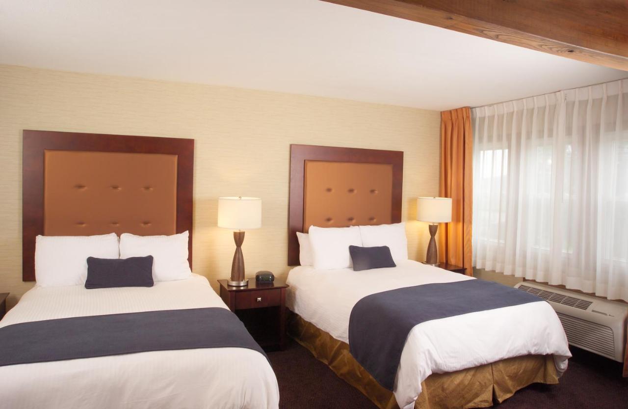 Ivy Court Inn and Suites — photo 8