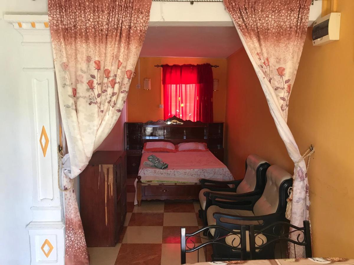 Sun Tropical Paradise - 2