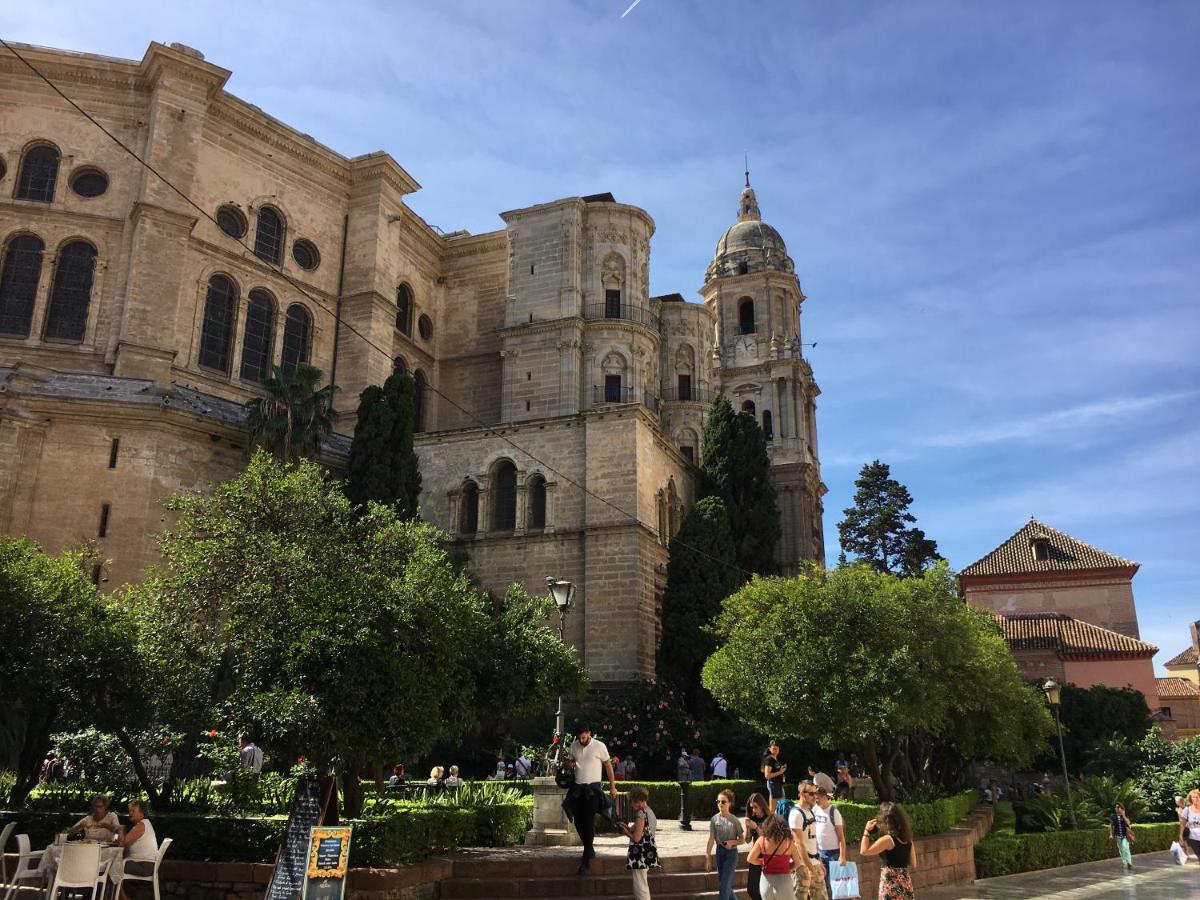 Vive Malaga, Málaga – Updated 2022 Prices