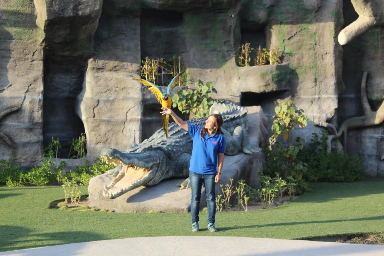 Emirates Park Resort - 2