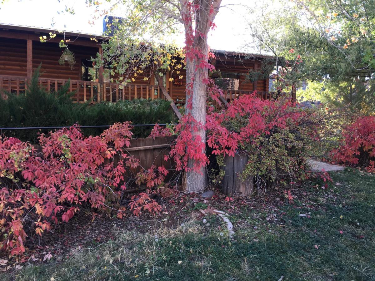 Canyon Wren Bed and Breakfast — photo 3