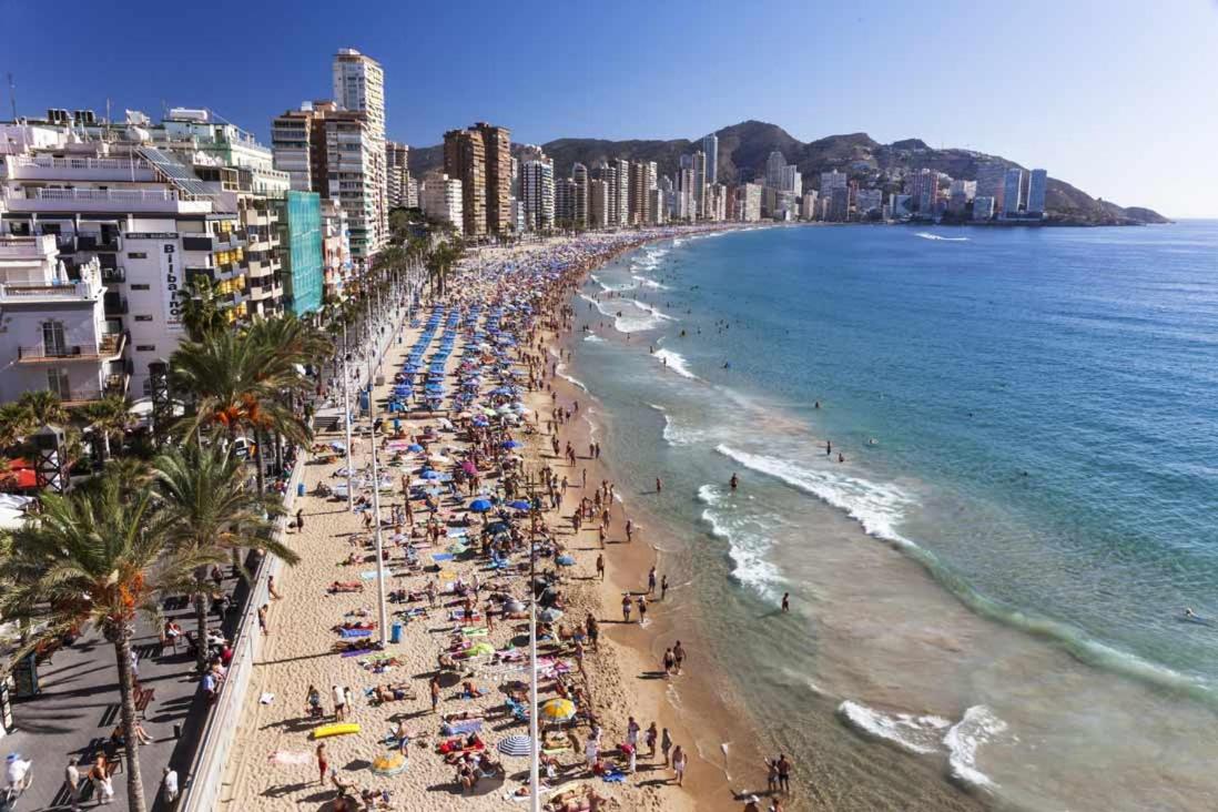 Domo Levante, Benidorm – Updated 2022 Prices