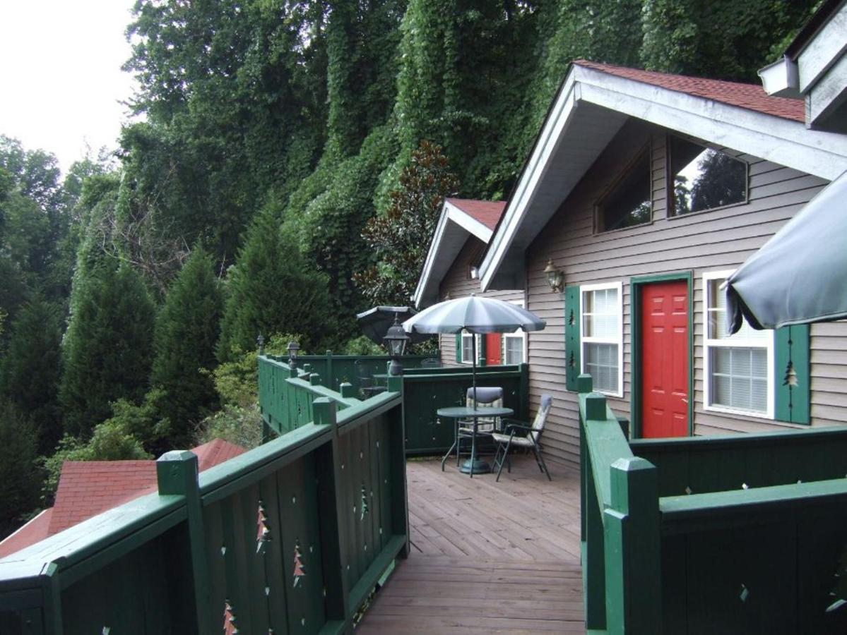 Black Forest Bed & Breakfast — photo 17