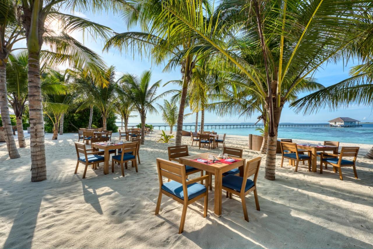 Hotel, plaża: Mӧvenpick Resort Kuredhivaru Maldives