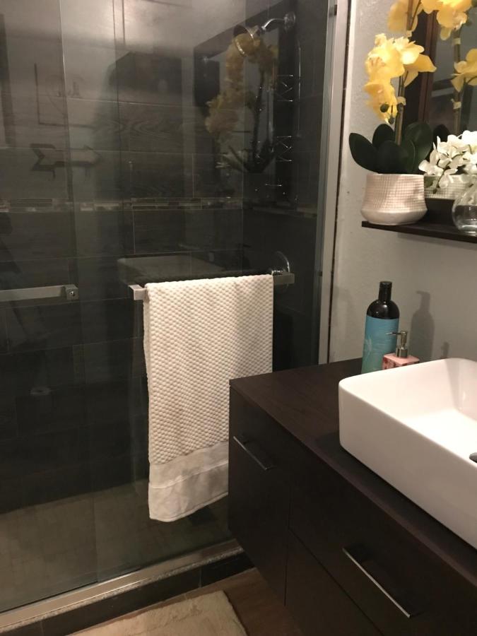 Abacus Jamaica the Zana Suites - 2