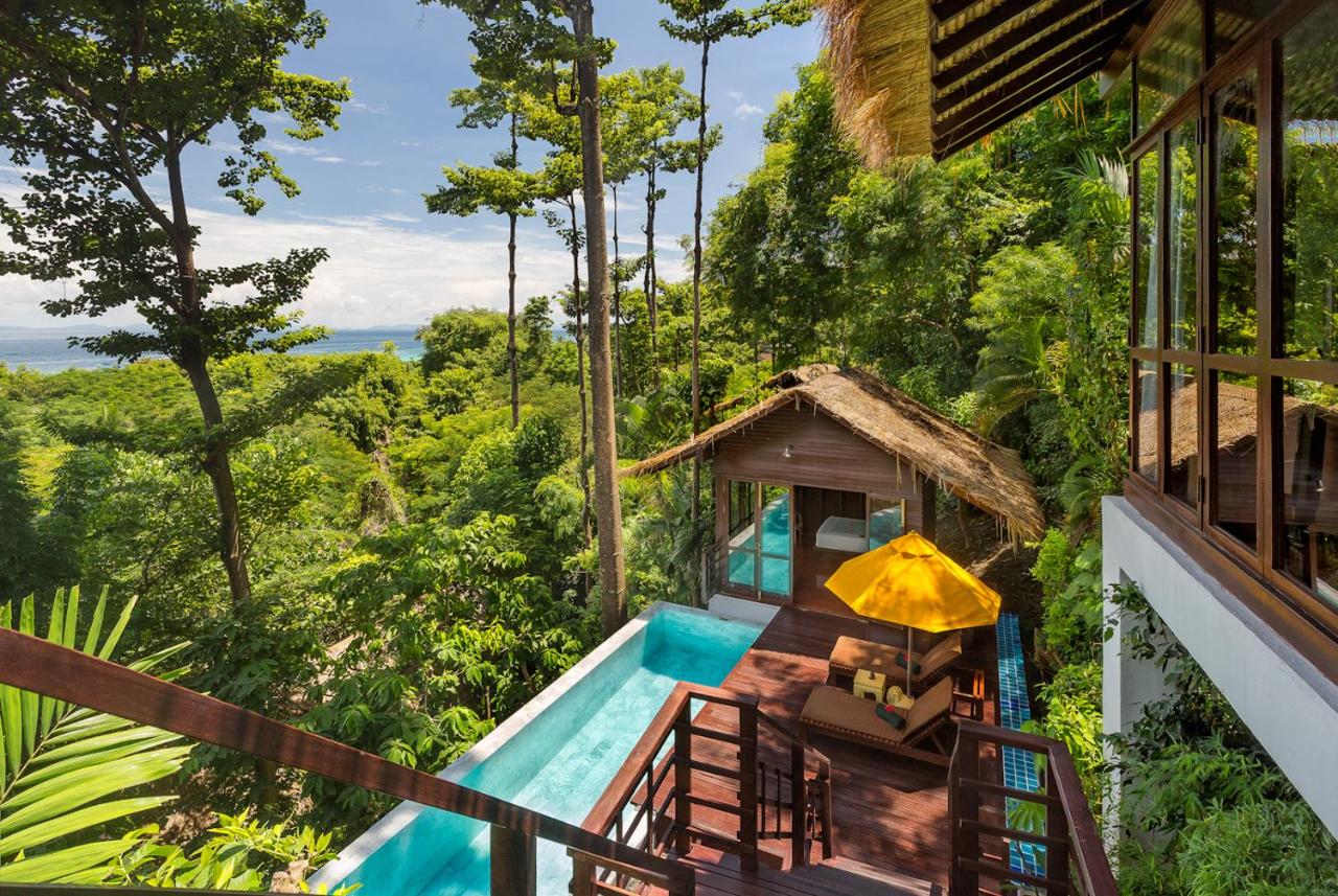 trees surrounding pool, lounge, and hut