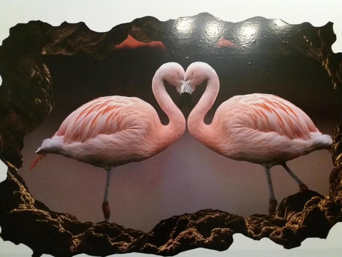الشقق Flamingo النمسا فيينا Booking Com